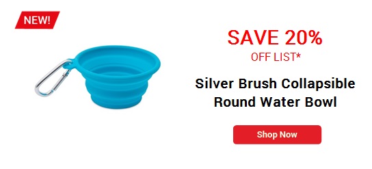 Silver Brush Collapsible Round Water Bowl