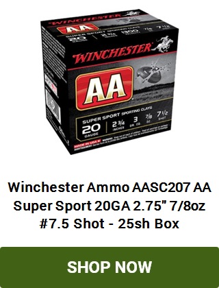 View product recommended for you