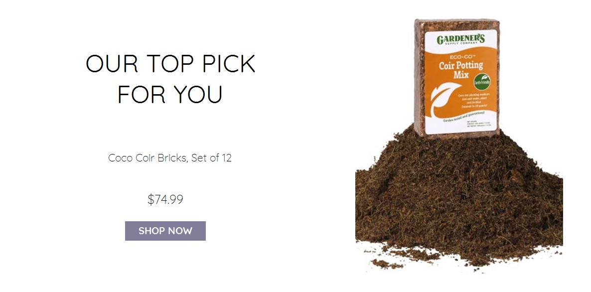 View product recommended for you